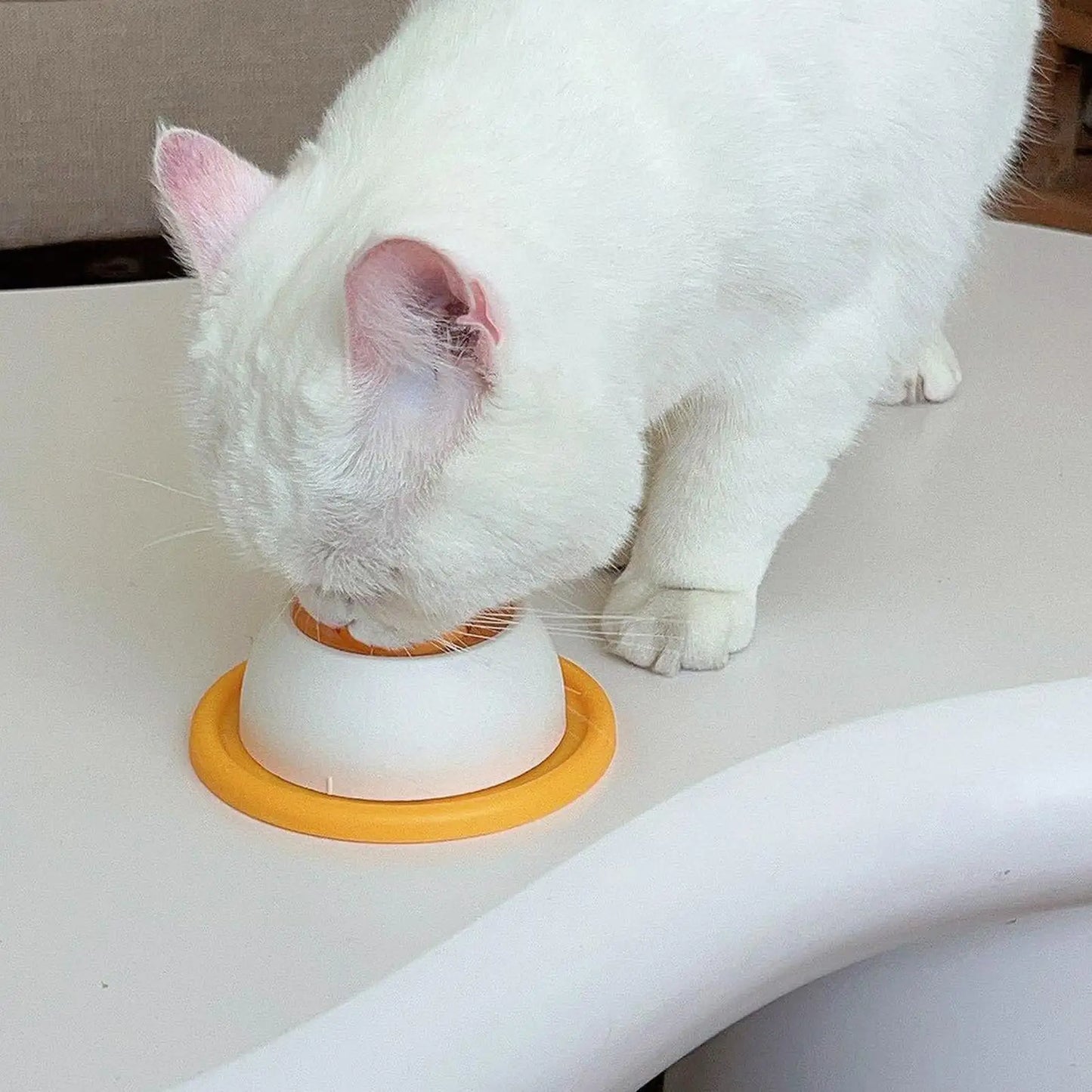 Dog & Cat Lick Bowl – Non-Slip Slow Feeder Enrichment Toy